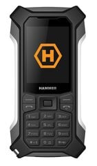 MyPhone Hammer Patriot Dual silver цена и информация | Мобильные телефоны | kaup24.ee