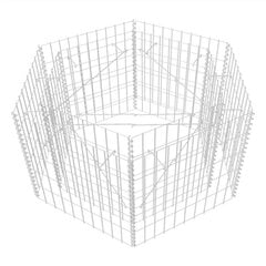 Kuusnurkne gabioonpott, 100x90x50 cm hind ja info | Dekoratiivsed lillepotid | kaup24.ee