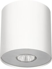 Nowodvorski Lighting потолочный светильник Point 6001 цена и информация | Потолочные светильники | kaup24.ee