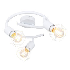 Светильник Globo Lighting Xara I G54802W-3 цена и информация | Потолочные светильники | kaup24.ee