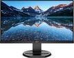 Philips 252B9/00 цена и информация | Monitorid | kaup24.ee