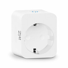 Умная розетка Wiz Smart Plug цена и информация | Выключатели, розетки | kaup24.ee