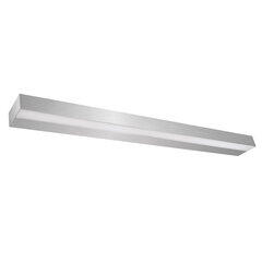 Dekoratiivne LED-valgusti Cyer hõbedane Strühm 25x600x50mm hind ja info | Laelambid | kaup24.ee