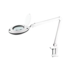 Lamp koos luubiga rebel 5d 10w, 6500 k hind ja info | Laualambid | kaup24.ee