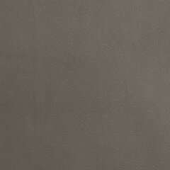 jalapink, hall, 45 x 29,5 x 39 cm, kunstnahk цена и информация | Кресла-мешки и пуфы | kaup24.ee