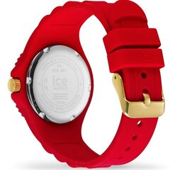 Ice Watch 019891 019891 цена и информация | Женские часы | kaup24.ee