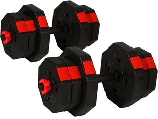 Сменные грузы Eb Fit, 2x10 кг цена и информация | Гантели, гири, штанги | kaup24.ee