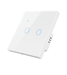 Lüliti Smart ZigBee Nous LZ1, 2 kanalit, 230V 2x200W, Smart Life цена и информация | Выключатели, розетки | kaup24.ee