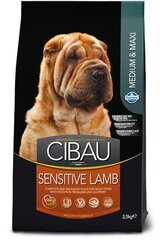 Farmina Pet Food SENSITIVE LAMB MEDIUM & MAXI 14 кг для взрослых цена и информация | Сухой корм для собак | kaup24.ee