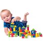 Puidust klotsid sorteerijaga Woody 90911, 50 d. цена и информация | Imikute mänguasjad | kaup24.ee