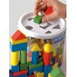 Puidust klotsid sorteerijaga Woody 90911, 50 d. hind ja info | Imikute mänguasjad | kaup24.ee