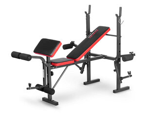 Тренировочная скамейка Neo-Sport NS-200 цена и информация | Тренировочные скамьи | kaup24.ee