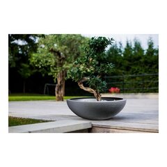 Lillepott EDA Graphit Washbasin hind ja info | Dekoratiivsed lillepotid | kaup24.ee