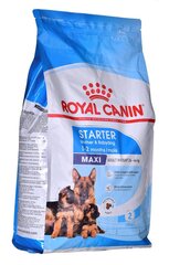 Royal Canin SHN Maxi starter kanaga, 4 kg hind ja info | Kuivtoit koertele | kaup24.ee