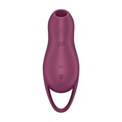 Вибратор Satisfyer Pocket Pro 1, фиолетовый цена и информация | Вибраторы | kaup24.ee