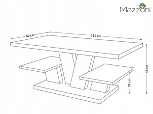 Diivanilaud Viva, 110 x 60 x 45cm, pruun/must hind ja info | Diivanilauad | kaup24.ee