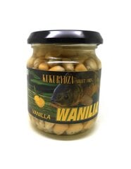 Groundsööt Traper Classic Maise Vanilla 125g hind ja info | Kalasööt | kaup24.ee