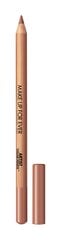 Матовый карандаш Make Up Ever Artist Color 1,4 г, 602 Completely Sepia цена и информация | Тушь, средства для роста ресниц, тени для век, карандаши для глаз | kaup24.ee