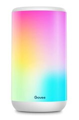 Govee H6052 Aura; LED lamp; RGBIC, 2200k-6500k, WiFi, Bluetooth hind ja info | LED ribad | kaup24.ee