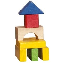 Puidust klotsid sorteerijaga Woody 90909, 100 osa hind ja info | Imikute mänguasjad | kaup24.ee