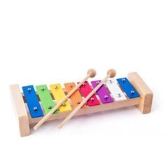 Деревянный ксилофон Woody, 91892 цена и информация | Развивающие игрушки | kaup24.ee