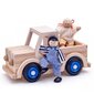 Moodne villa tarvikutega Woody, 91330 цена и информация | Tüdrukute mänguasjad | kaup24.ee