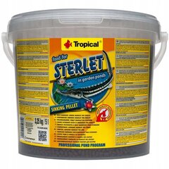 Toit kaladele Tropical Food For Sterlet, 5 L hind ja info | Toit kaladele | kaup24.ee