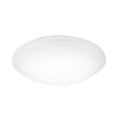 Потолочный светильник Philips Suede Ø 28 cм, белый пластик, 20 W (6500 K) цена и информация | Потолочные светильники | kaup24.ee