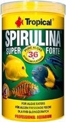 TROPICAL Spirulina Super Forte Flakes - корм для аквариумных рыб - 1000 мл/200 г цена и информация | Корм для живой рыбы | kaup24.ee