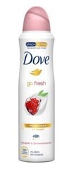 Purškiamas dezodorantas Dove Go Fresh Pomegranate 150 ml hind ja info | Deodorandid | kaup24.ee