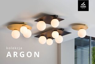Потолочный светильник ARGON 33264 цена и информация | Потолочные светильники | kaup24.ee