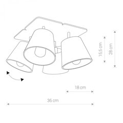 Nowodvorski потолочный светильник Awinion IV 9716 цена и информация | Потолочные светильники | kaup24.ee