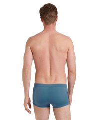 Ujumispüksid meestele Sloggi hind ja info | Ujumispüksid, shortsid | kaup24.ee