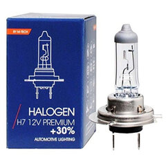 Halogeenpirn M-Tech Z107 H7 12V 55W PX26D hind ja info | Autopirnid | kaup24.ee