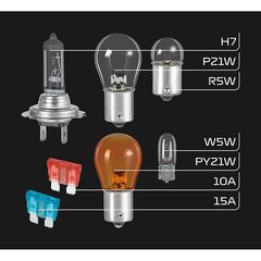 Лампа накаливания FORMULA 1 SK700 цена и информация | Автомобильные лампочки | kaup24.ee