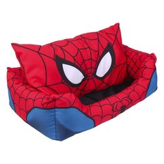 Voodi koertele Marvel, 50 x 35 cm hind ja info | Pesad, kuudid | kaup24.ee