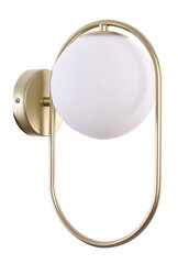 Candellux lighting светильник Cordel 21-73440 цена и информация | Настенные светильники | kaup24.ee