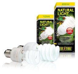 Террариумная лампа Natural Light 13w E27 PT2190 цена и информация | Товары для экзотических животных | kaup24.ee