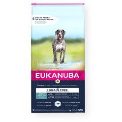 EUKANUBA ADULT DOG D.BREED WITH GRAINS FISH OC. 12 кг цена и информация | Сухой корм для собак | kaup24.ee