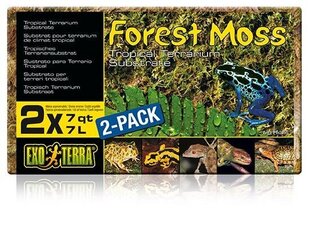 Мох Exo Terra Forest Moss, 2х7л цена и информация | Товары для экзотических животных | kaup24.ee