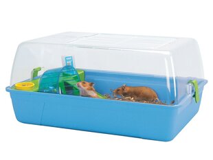 Puur Rody Hamster 55x39x26cm hind ja info | Puurid ja tarvikud väikeloomadele | kaup24.ee