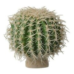 Terraariumi kaunistus Barrel Cactus PT2980 hind ja info | Kaubad eksootilistele loomadele | kaup24.ee