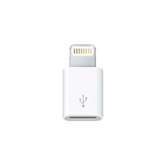 Lightning - Micro USB Adapter цена и информация | USB jagajad, adapterid | kaup24.ee