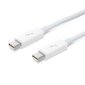 Apple Thunderbolt Cable (0.5 m, white) - MD862ZM/A hind ja info | Kaablid ja juhtmed | kaup24.ee