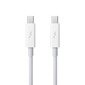 Apple Thunderbolt Cable (0.5 m, white) - MD862ZM/A цена и информация | Kaablid ja juhtmed | kaup24.ee