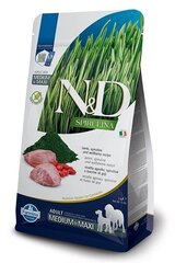 Farmina N&D Spirulina Adult Medium/Maxi lambalihaga, 2 kg hind ja info | Kuivtoit koertele | kaup24.ee