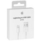 Apple Lightning to USB Cable (2m) - MD819ZM/A цена и информация | Mobiiltelefonide kaablid | kaup24.ee