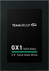 Team Group T253X1960G0C101 цена и информация | Внутренние жёсткие диски (HDD, SSD, Hybrid) | kaup24.ee