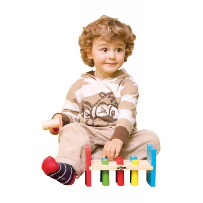 Puidust sepistamine mäng haamriga Woody 90002 hind ja info | Imikute mänguasjad | kaup24.ee
