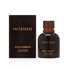 Мужская парфюмерия Intenso Dolce & Gabbana EDP: Емкость - 125 ml цена и информация | Мужские духи | kaup24.ee